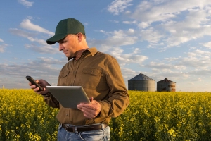 5 Ways Farming Accounting Software Can Be a Game-Changer for Farm Profitability